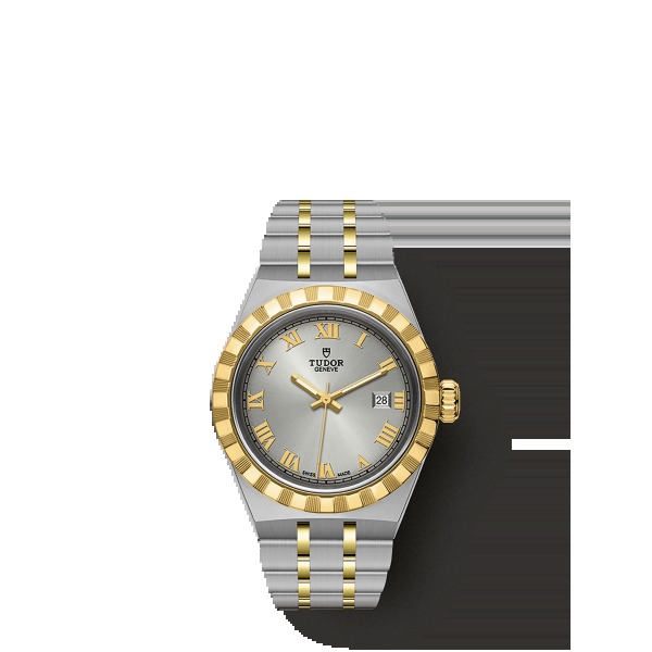 Montre Femme Tudor Royal 28mm Boîtier Acier Lunette en or jaune